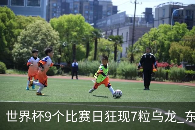 世界杯9个比赛日狂现7粒乌龙 东道主美国成最大受益者